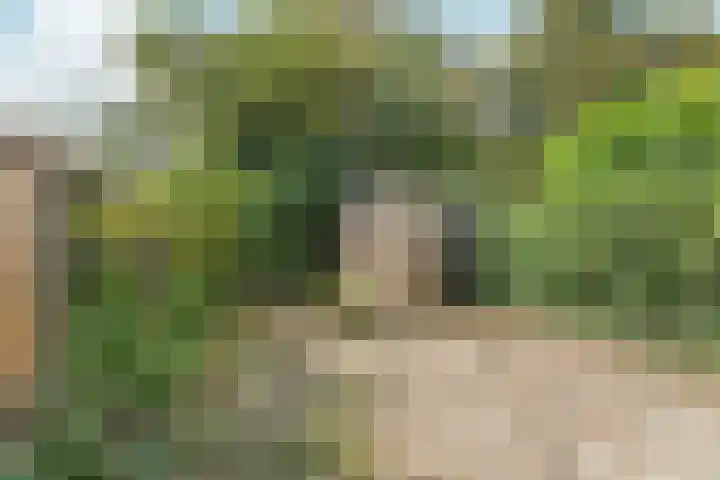 Rozenhagelaan 14 Velp thumbnail 41