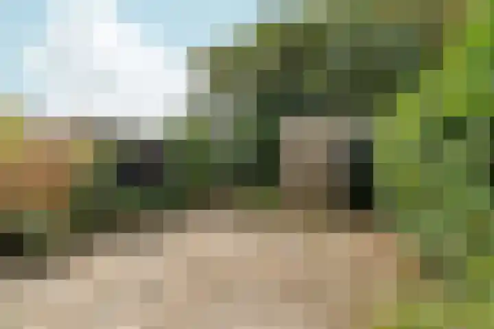 Rozenhagelaan 14 Velp thumbnail 42