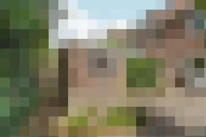 Rozenhagelaan 14 Velp thumbnail 43