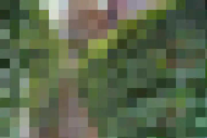 Rozenhagelaan 14 Velp thumbnail 44