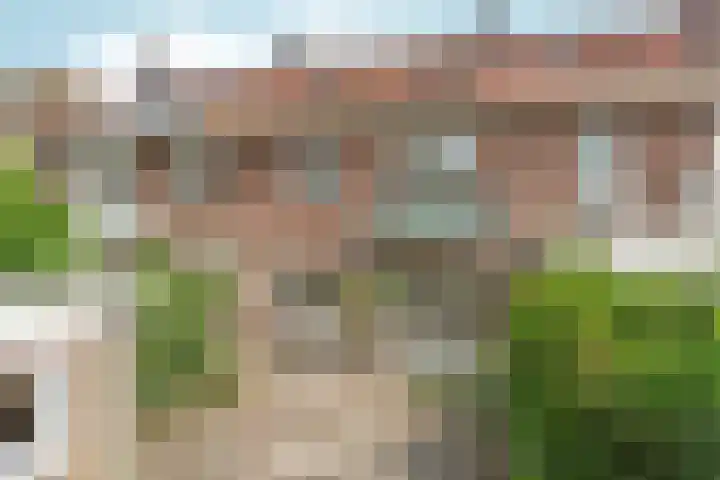 Rozenhagelaan 14 Velp thumbnail 46