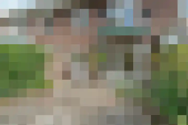 Rozenhagelaan 14 Velp thumbnail 47