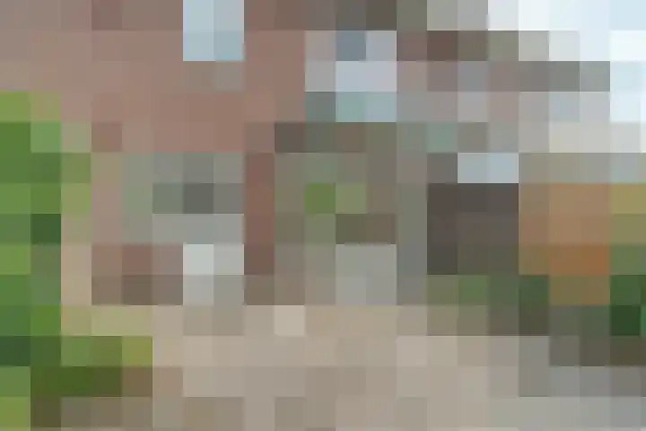 Rozenhagelaan 14 Velp thumbnail 48