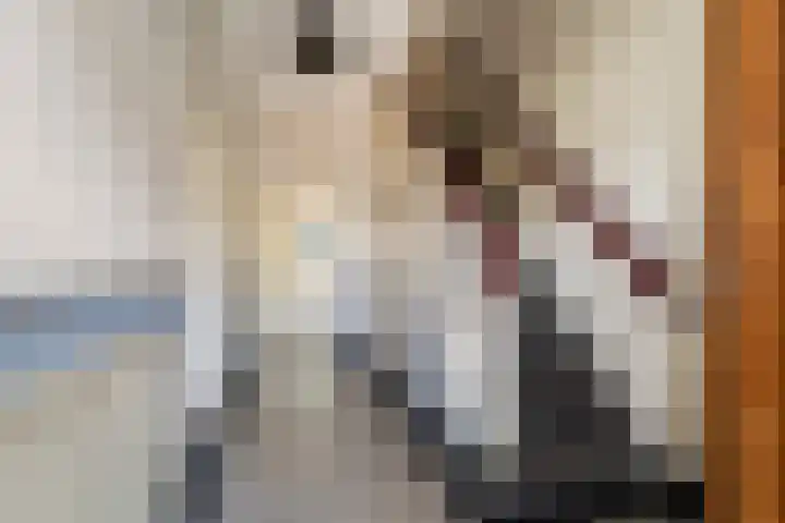 Rozenhagelaan 14 Velp thumbnail 5