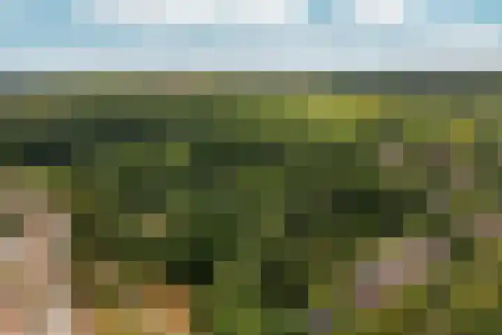 Rozenhagelaan 14 Velp thumbnail 50