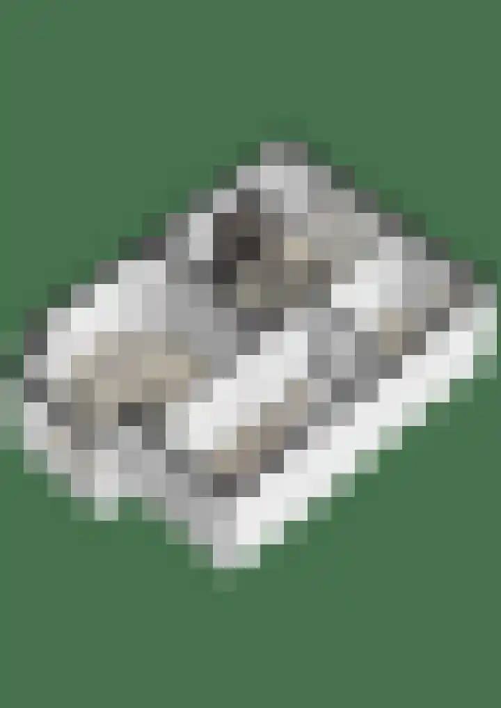 Rozenhagelaan 14 Velp thumbnail 55