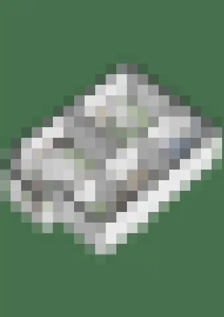 Rozenhagelaan 14 Velp thumbnail 58