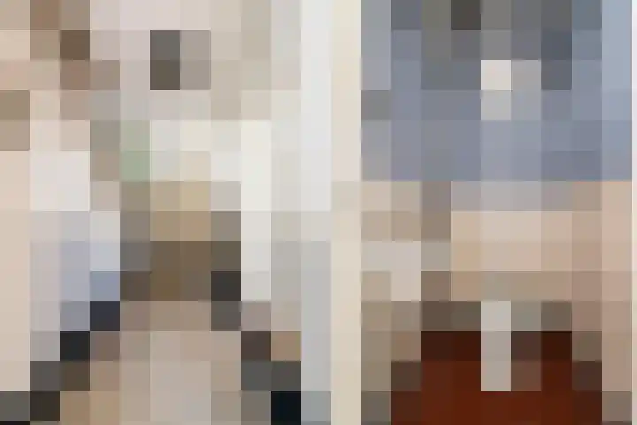 Rozenhagelaan 14 Velp thumbnail 6