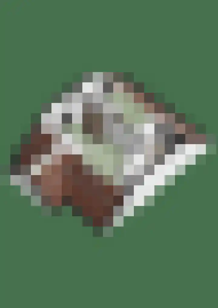 Rozenhagelaan 14 Velp thumbnail 61
