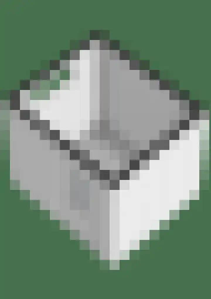 Rozenhagelaan 14 Velp thumbnail 64