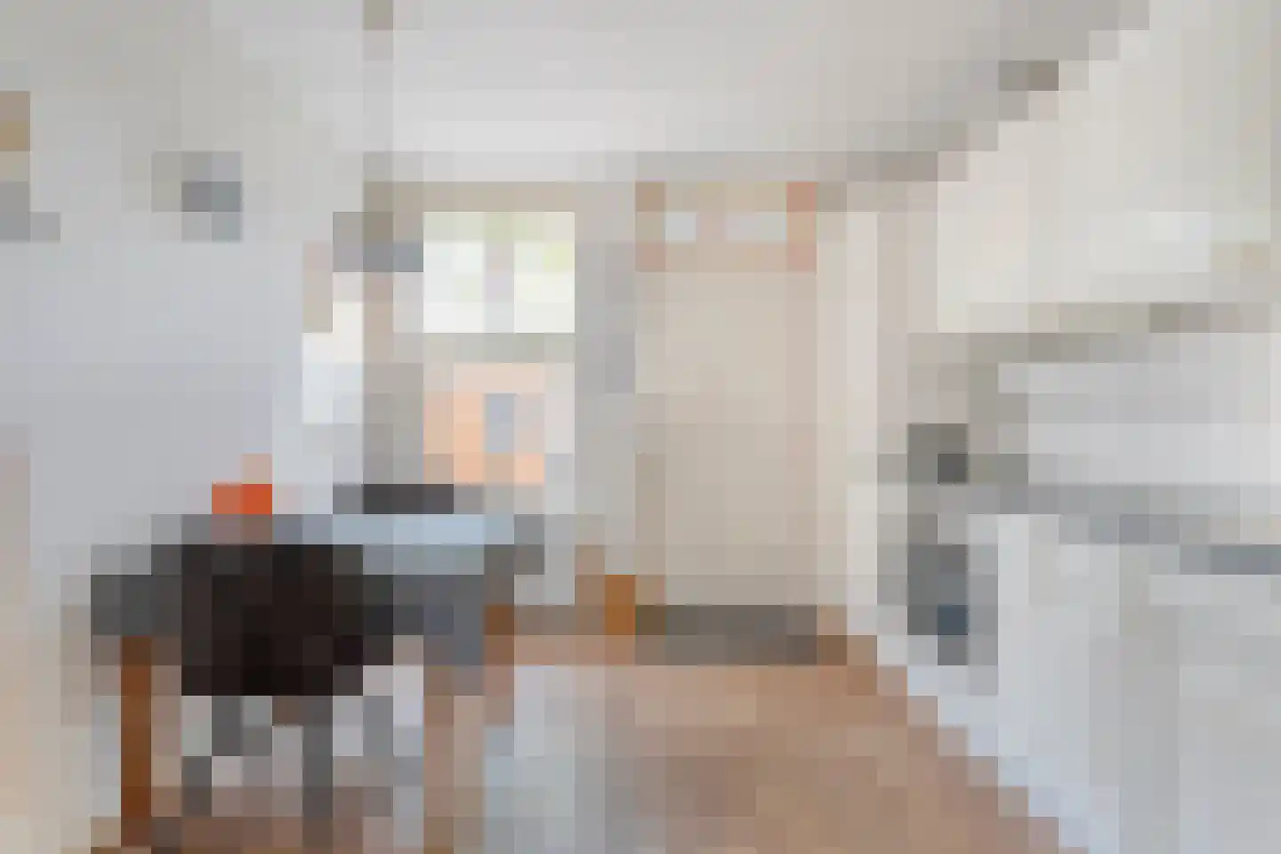Rozenheim 16 Dedemsvaart thumbnail 11