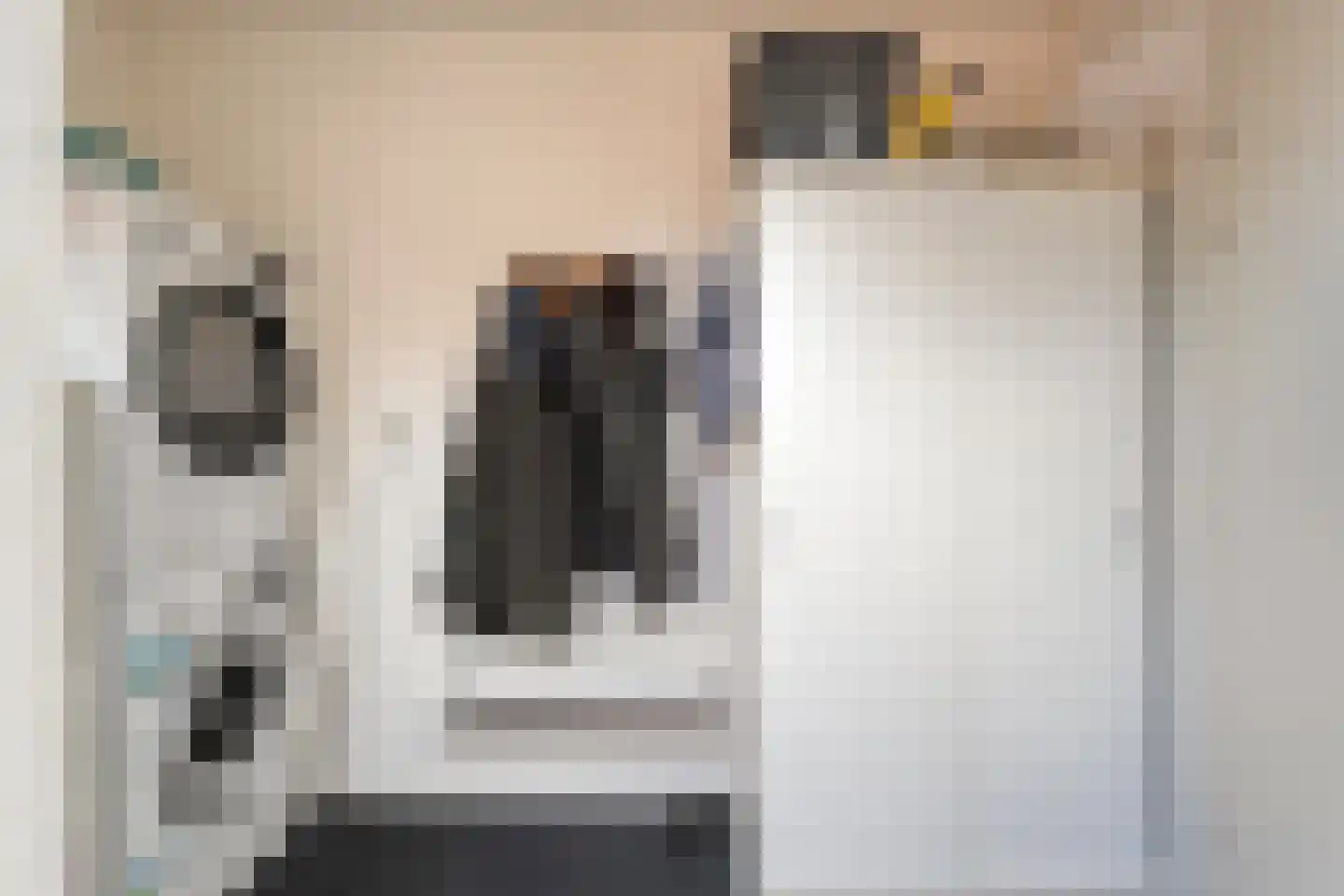 Rozenheim 16 Dedemsvaart thumbnail 19