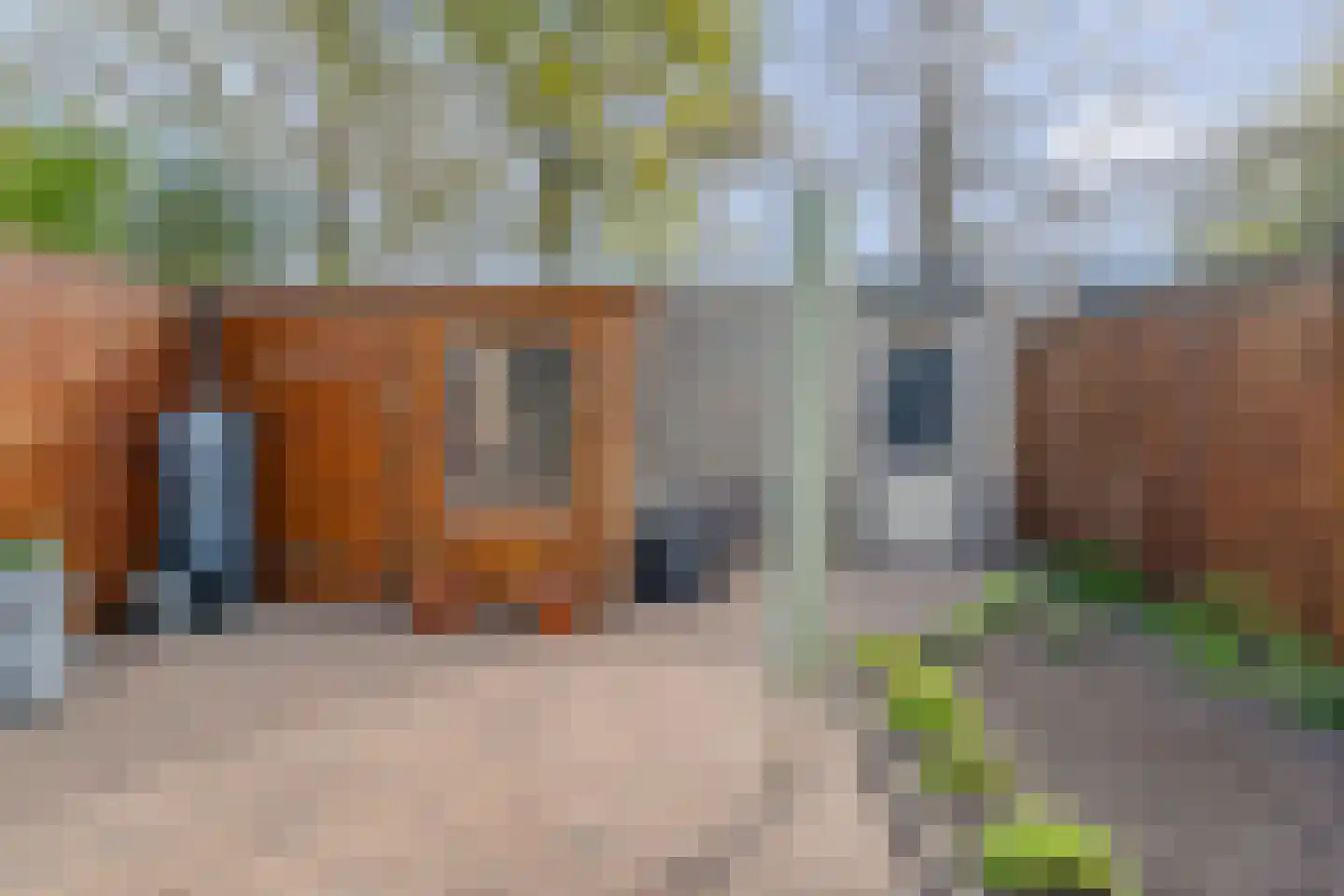 Rozenheim 16 Dedemsvaart thumbnail 26