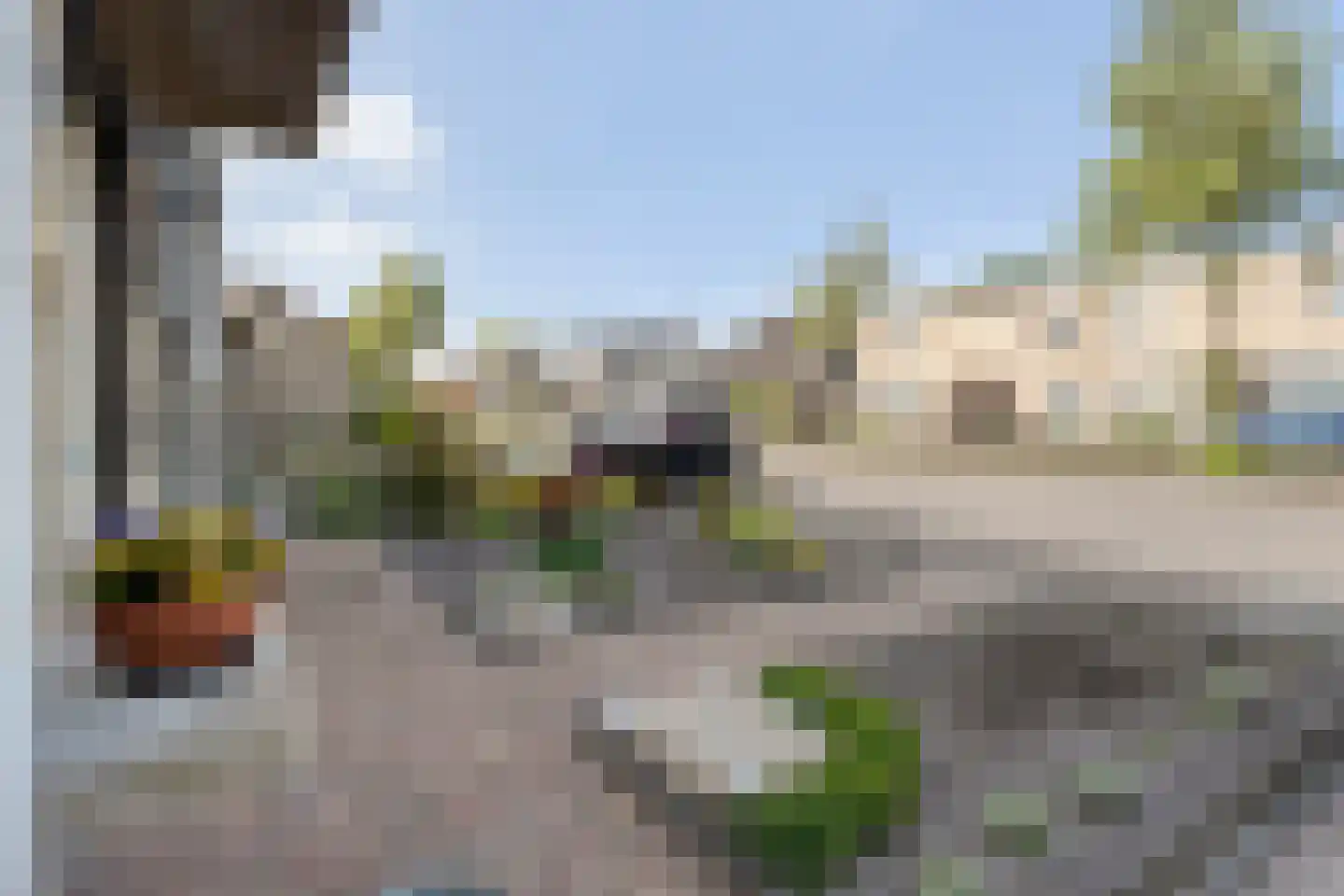 Rozenheim 16 Dedemsvaart thumbnail 31