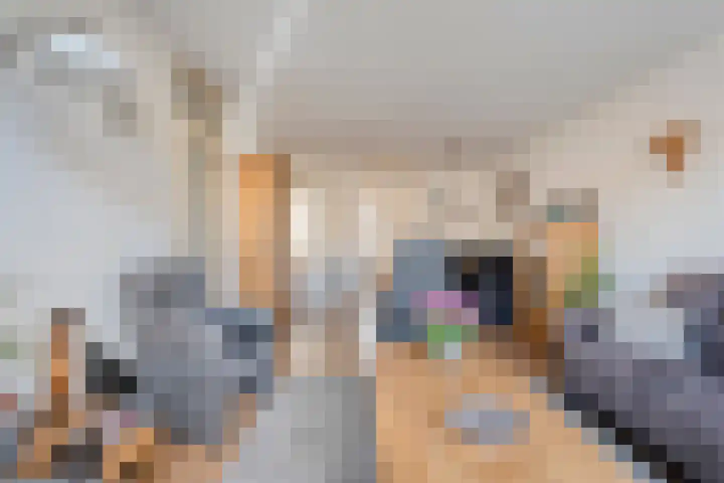 Rozenheim 16 Dedemsvaart thumbnail 5