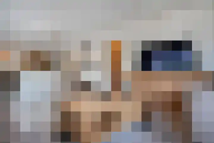Rozenheim 2 A304 Dedemsvaart thumbnail 13