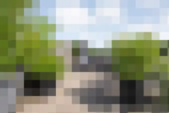 Rozenheim 2 A401 Dedemsvaart thumbnail 25