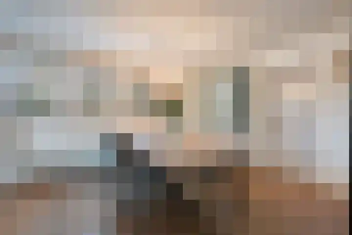 Rozenheim 3 Dedemsvaart thumbnail 12