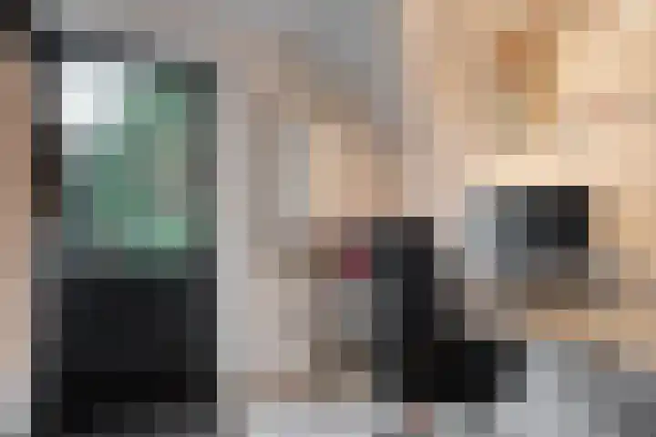 Rozenheim 3 Dedemsvaart thumbnail 17
