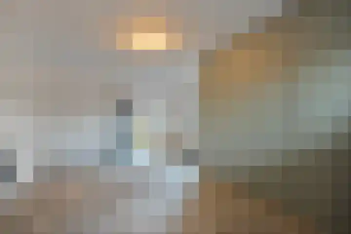 Rozenheim 3 Dedemsvaart thumbnail 19
