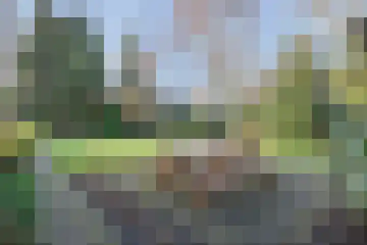 Rozenheim 3 Dedemsvaart thumbnail 33