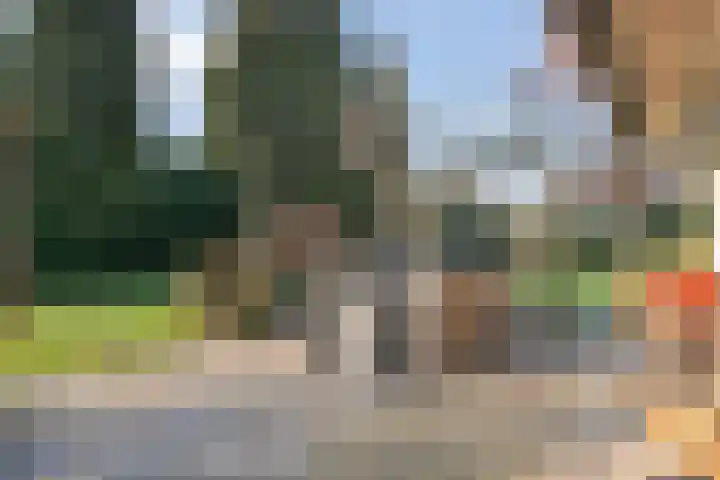 Rozenheim 3 Dedemsvaart thumbnail 36