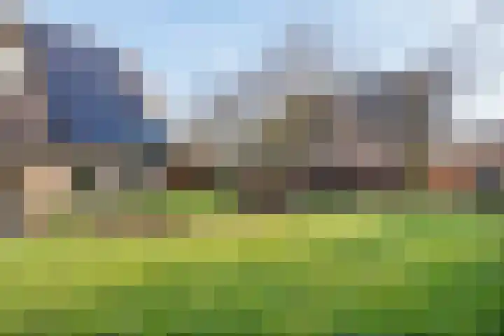 Rozenheim 3 Dedemsvaart thumbnail 37