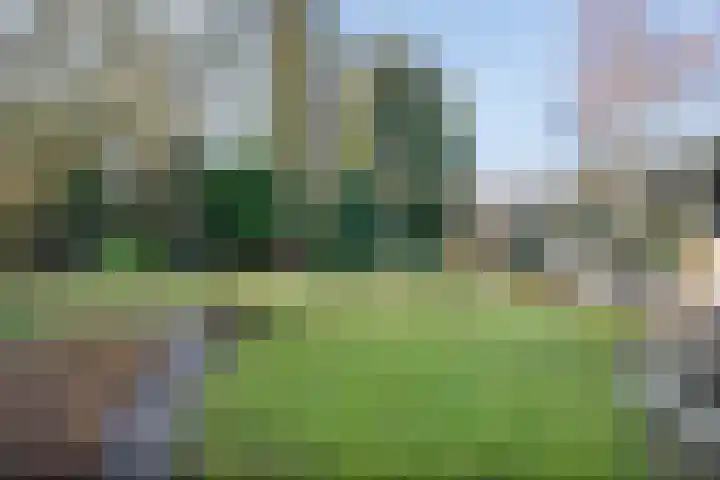 Rozenheim 3 Dedemsvaart thumbnail 38