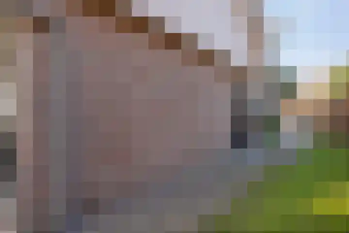 Rozenheim 3 Dedemsvaart thumbnail 43
