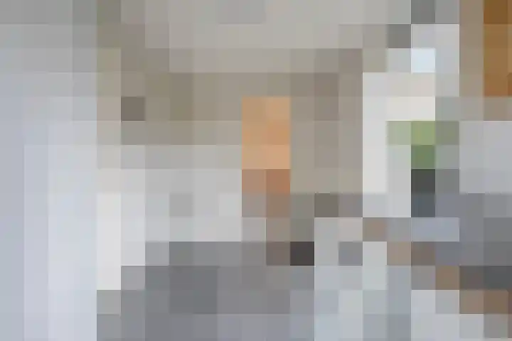Rozenheim 37 Dedemsvaart thumbnail 16