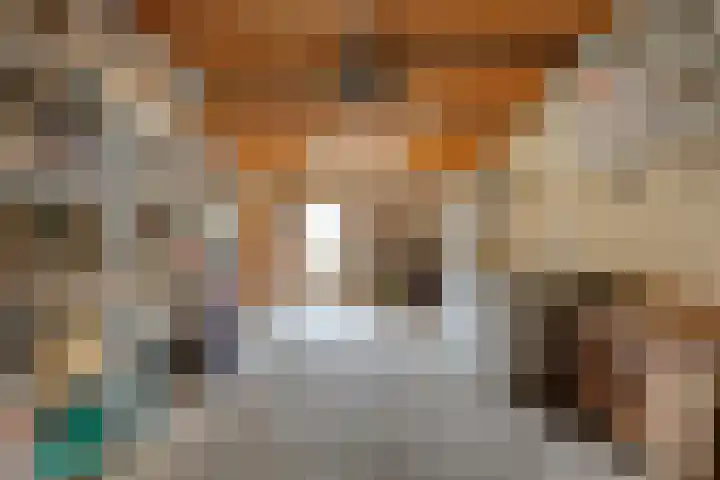 Rozenheim 37 Dedemsvaart thumbnail 18