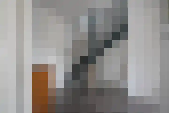 Rozenheim 37 Dedemsvaart thumbnail 19