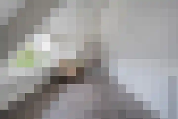 Rozenheim 37 Dedemsvaart thumbnail 30