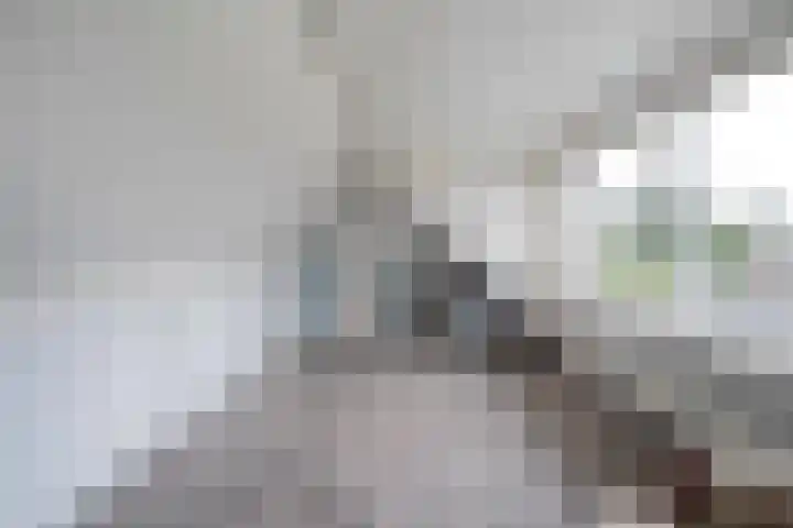 Rozenheim 37 Dedemsvaart thumbnail 31