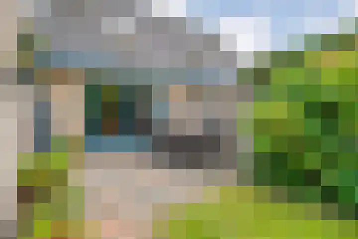 Rozenheim 37 Dedemsvaart thumbnail 32