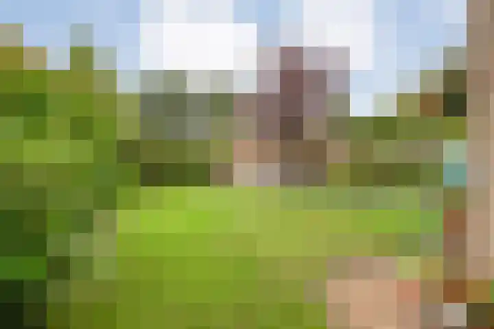 Rozenheim 37 Dedemsvaart thumbnail 33