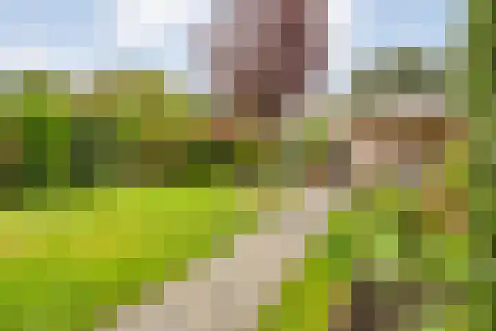 Rozenheim 37 Dedemsvaart thumbnail 34