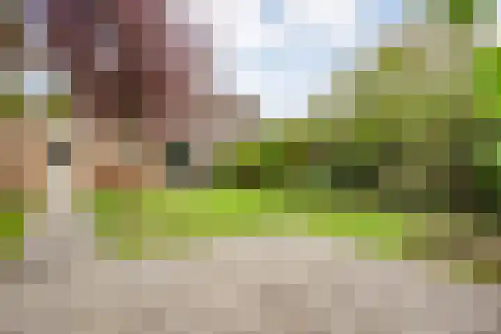 Rozenheim 37 Dedemsvaart thumbnail 36