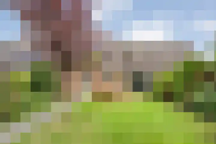 Rozenheim 37 Dedemsvaart thumbnail 37