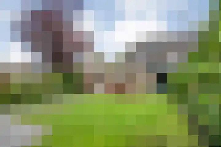 Rozenheim 37 Dedemsvaart thumbnail 38