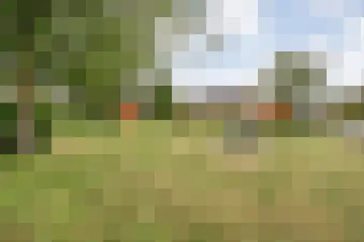 Rozenheim 37 Dedemsvaart thumbnail 39
