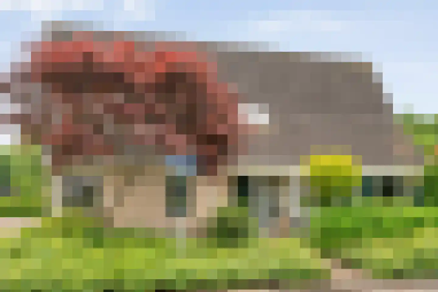 Rozenheim 44 Dedemsvaart thumbnail 13