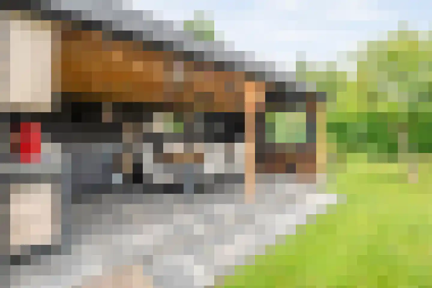 Rozenheim 44 Dedemsvaart thumbnail 43