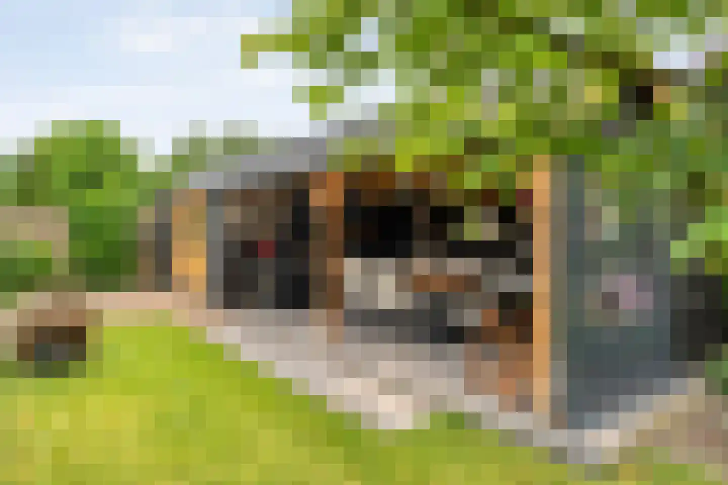 Rozenheim 44 Dedemsvaart thumbnail 47