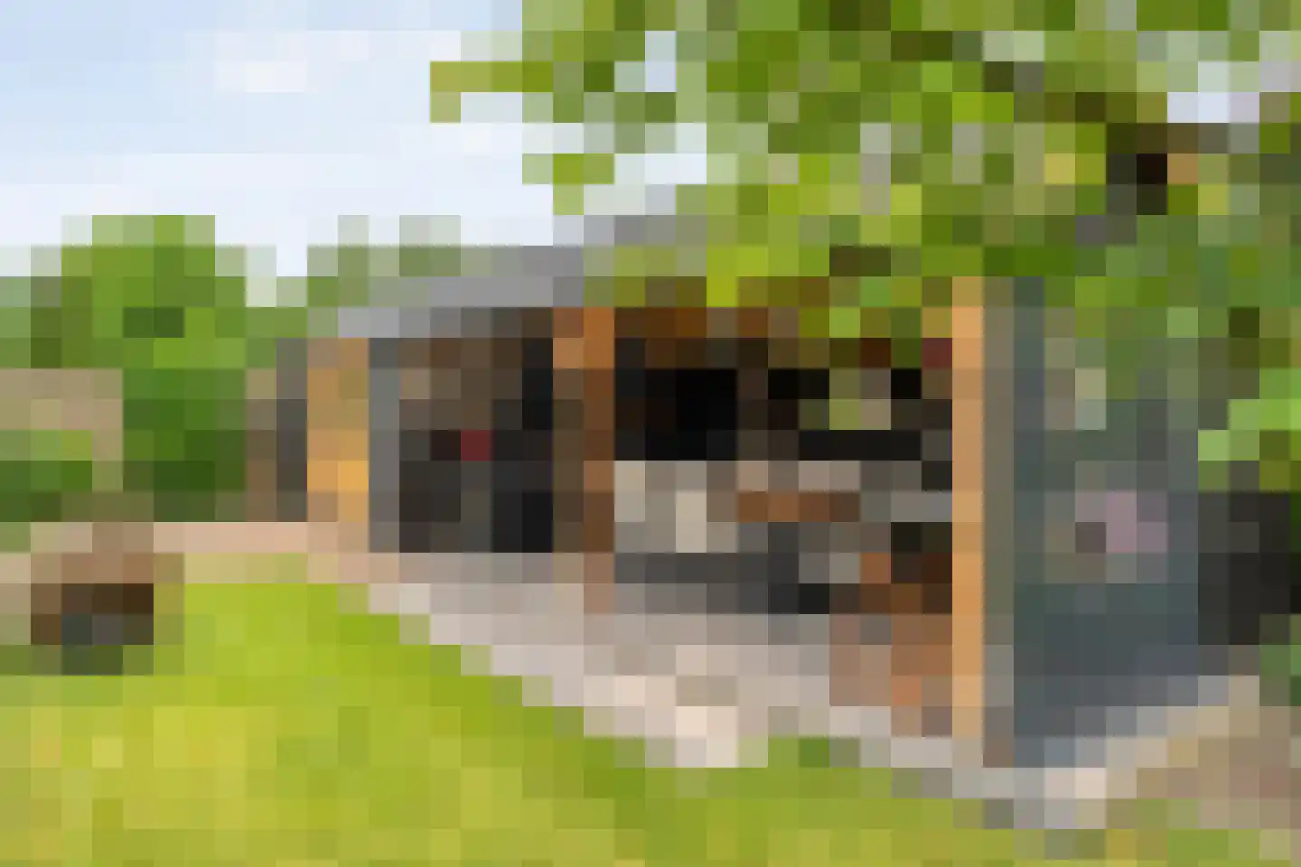 Rozenheim 44 Dedemsvaart thumbnail 51