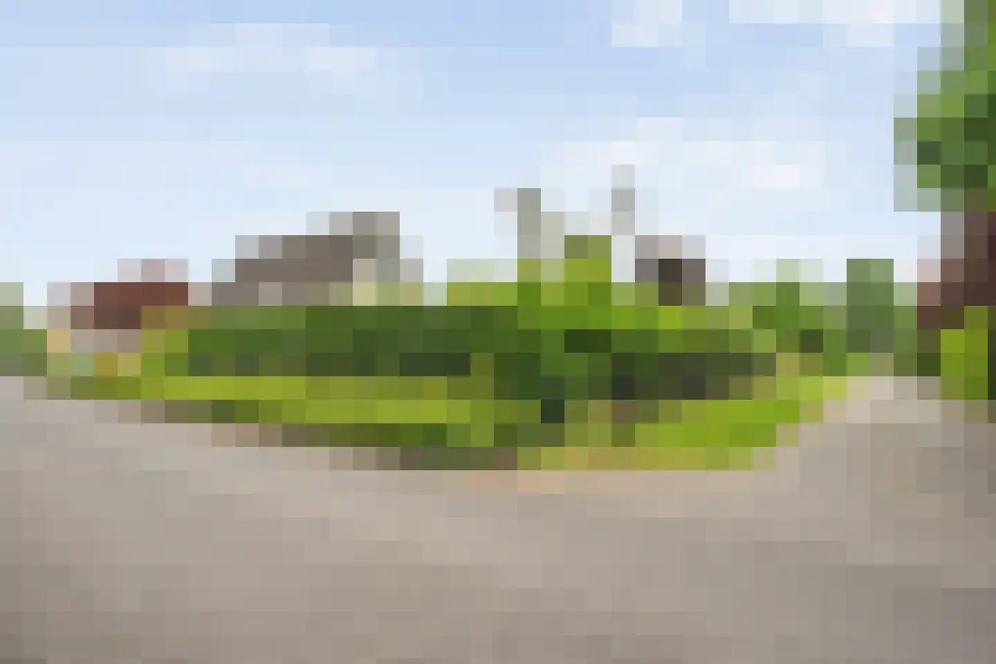 Rozenheim 44 Dedemsvaart thumbnail 6