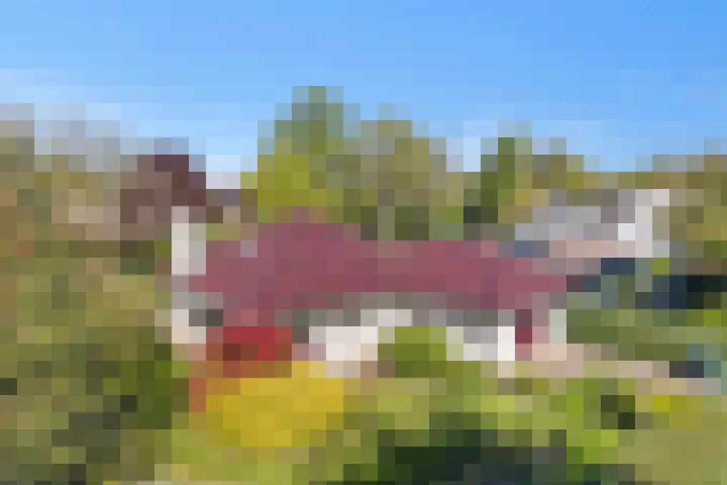 Rozenheim 51 Dedemsvaart thumbnail 13