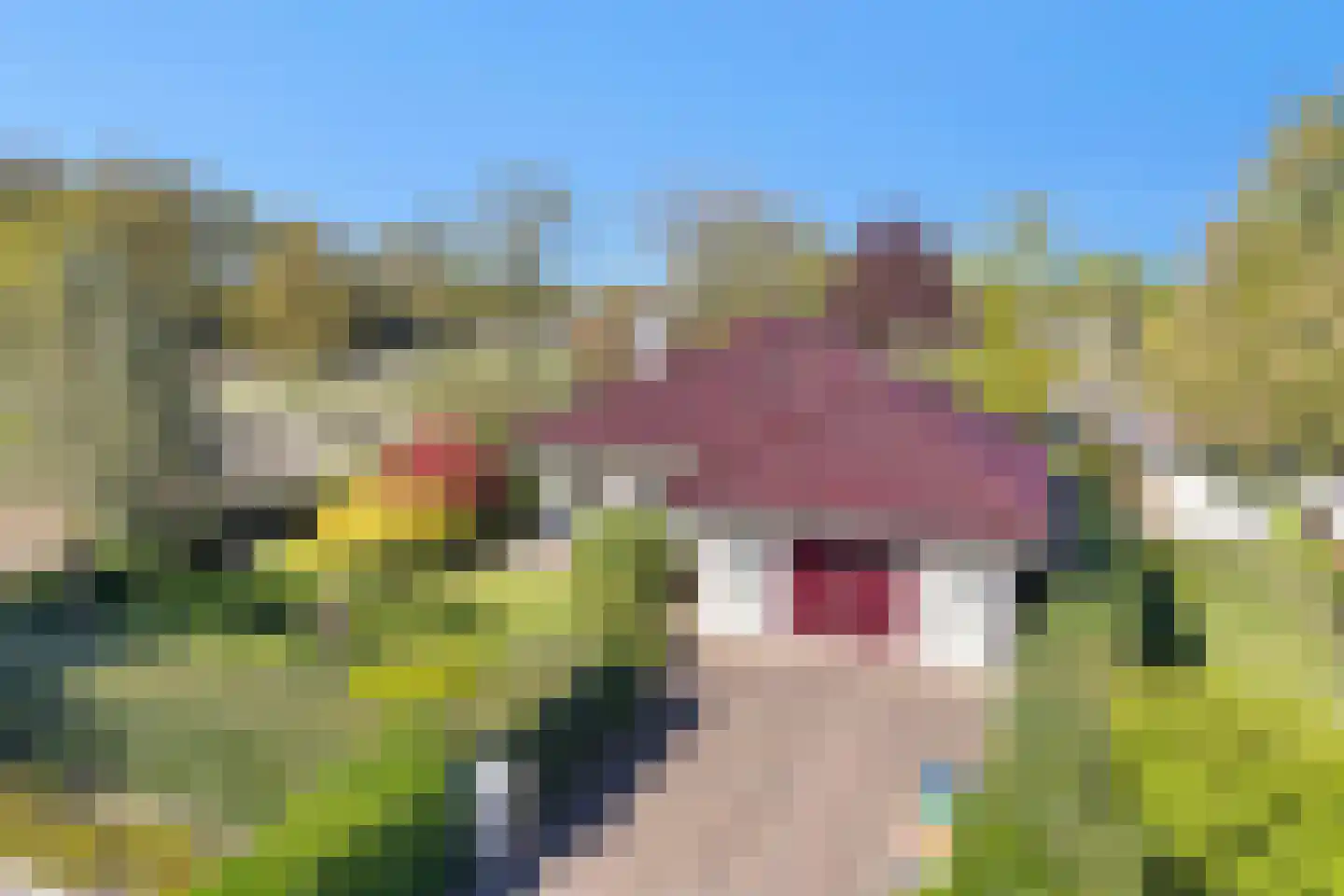 Rozenheim 51 Dedemsvaart thumbnail 14