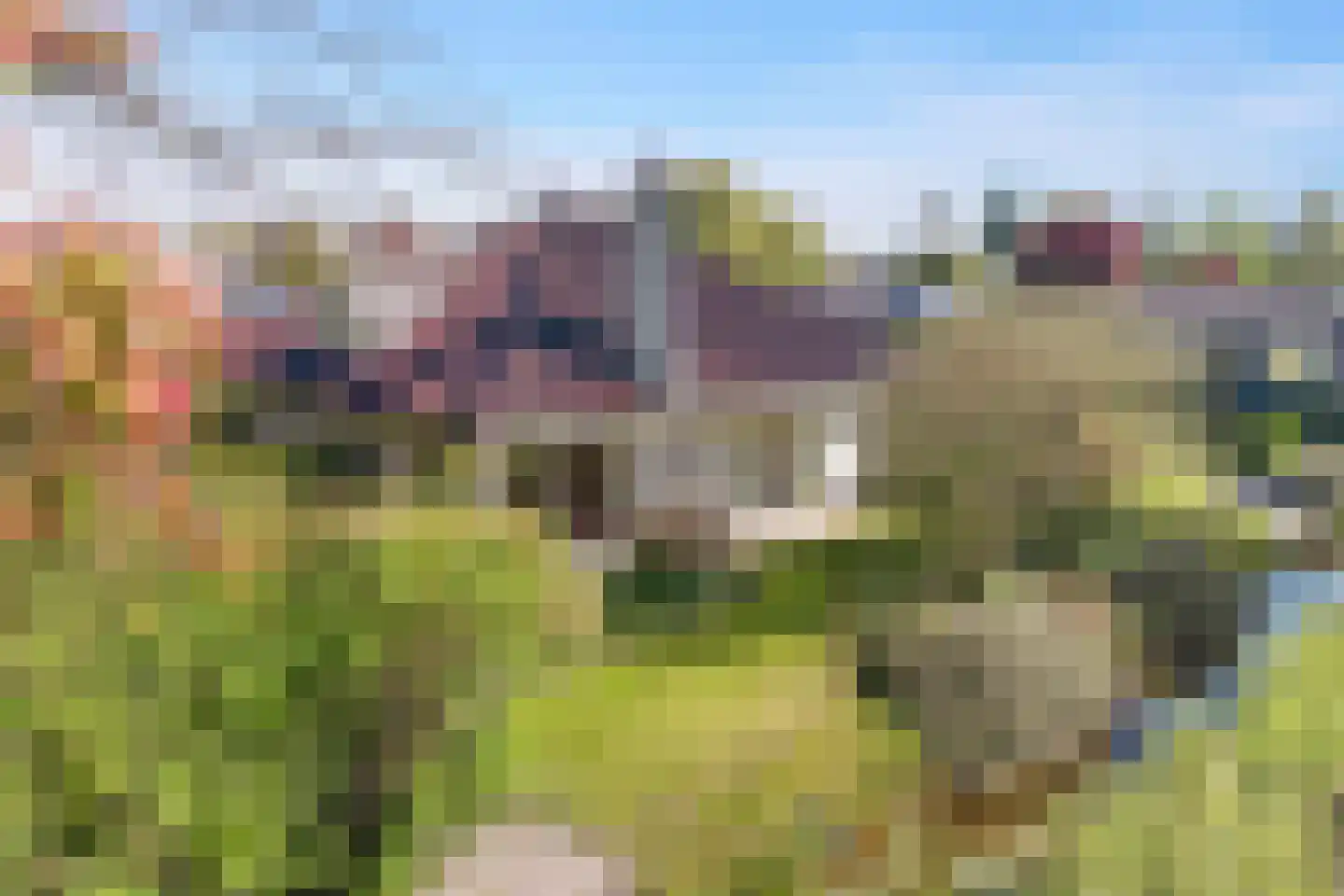 Rozenheim 51 Dedemsvaart thumbnail 15