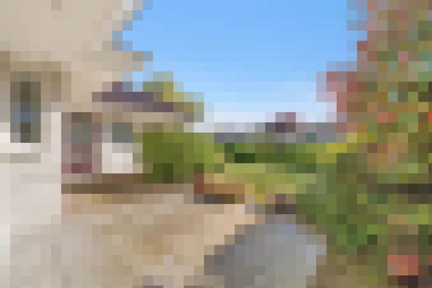 Rozenheim 51 Dedemsvaart thumbnail 18